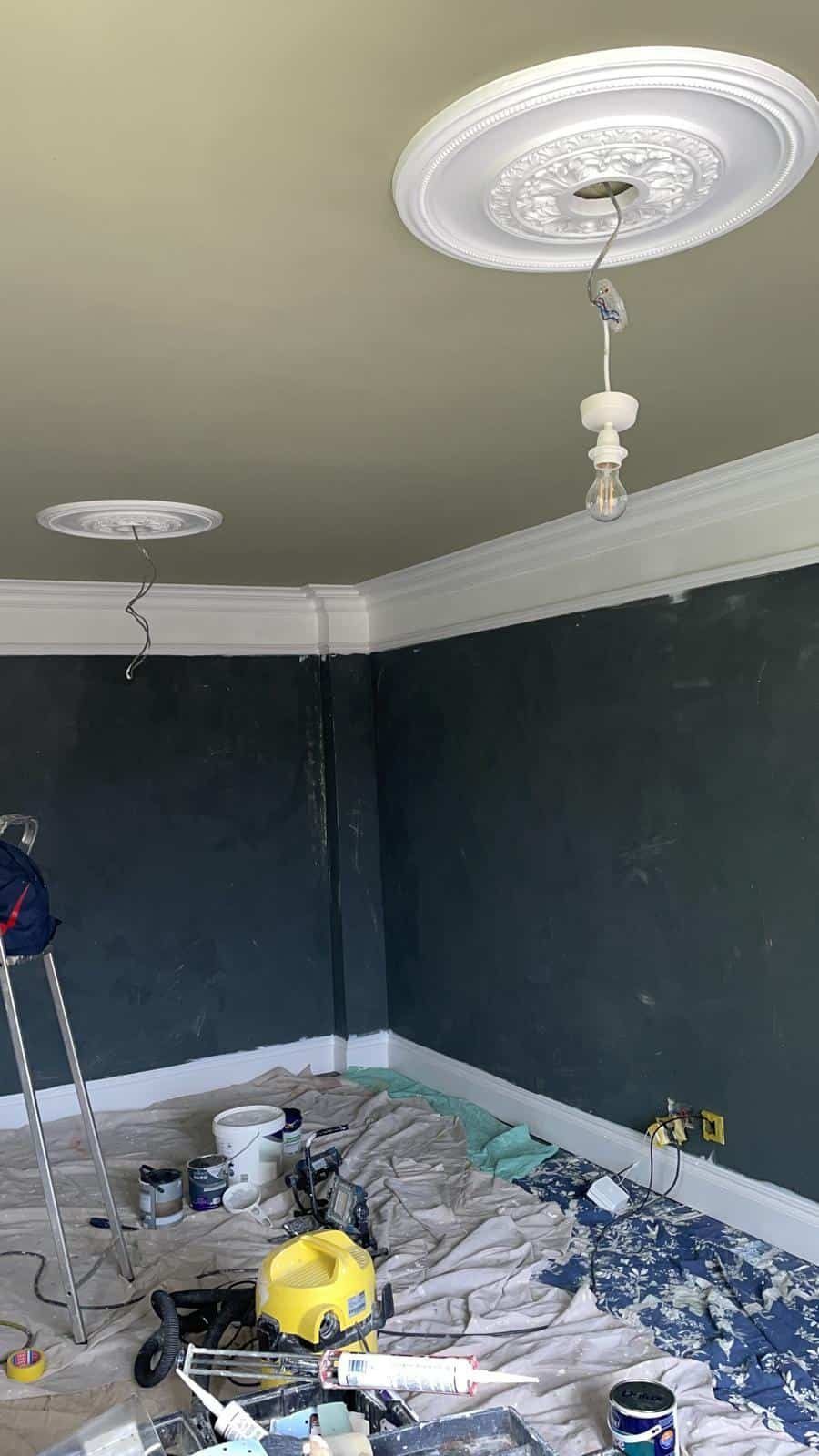 Dark painted room with ceiling rose